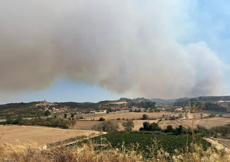 Una setantena de dotacions de Bombers treballen en l’extinció d’un incendi de vegetació a Ciutadilla