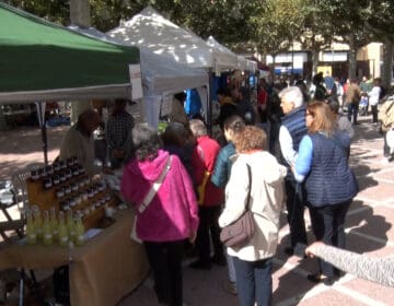 Tàrrega acull una remodelada Fira del Medi Ambient