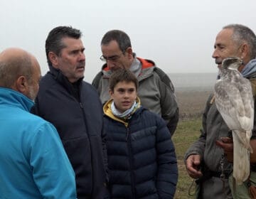 Passió per la falconeria a Bellpuig