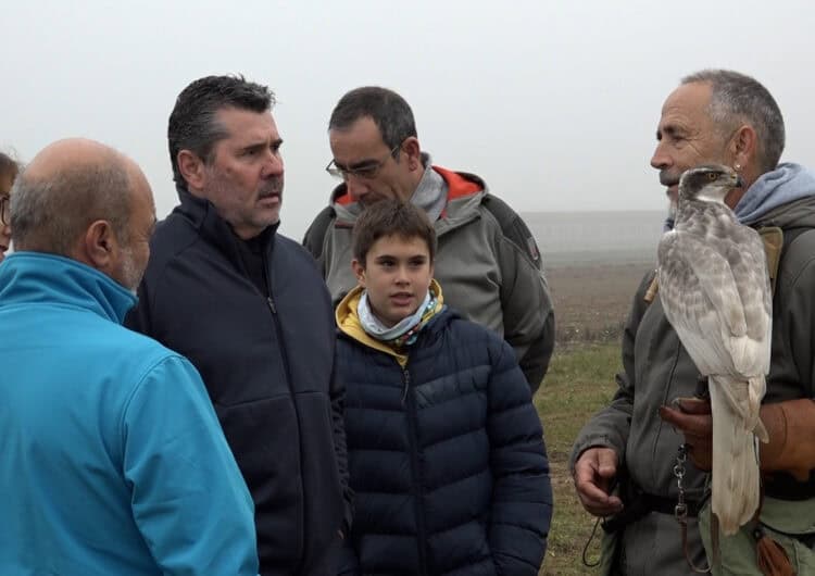 Passió per la falconeria a Bellpuig